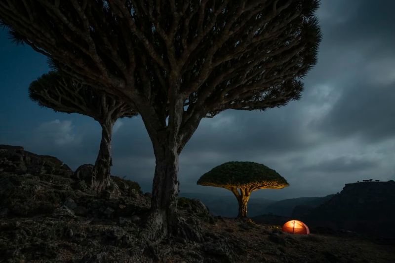 adventure and travel experiences